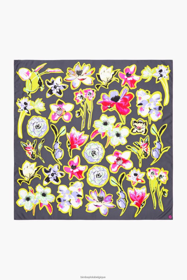 accessoires Bimba Y Lola écharpe à fleurs foncées gris HV4486604