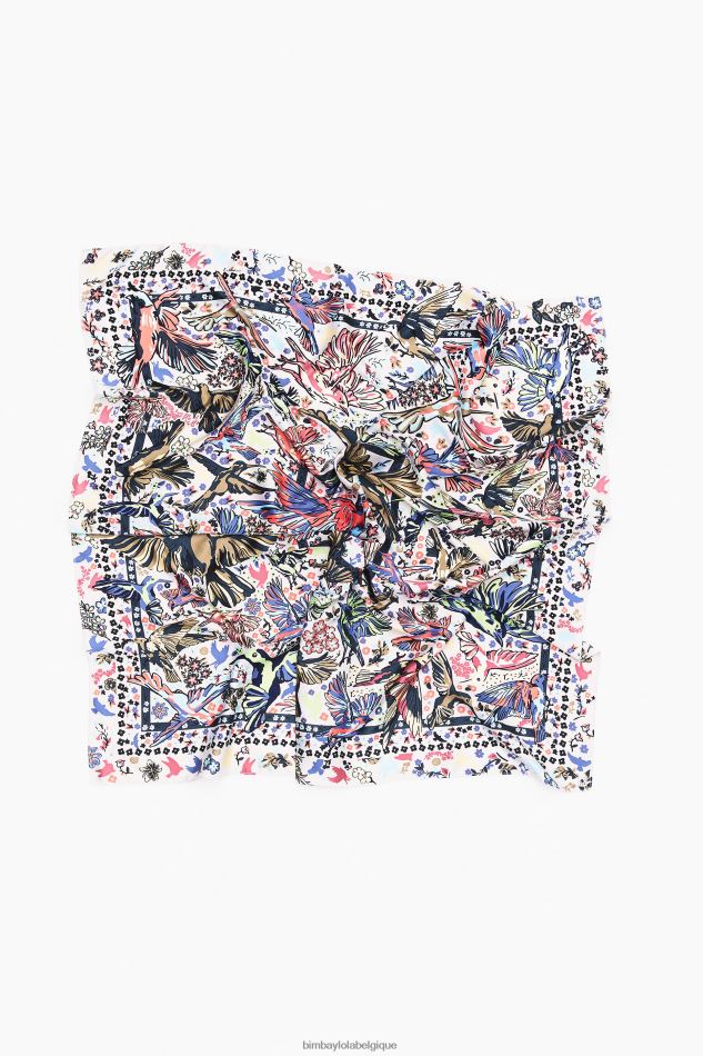 accessoires Bimba Y Lola écharpe oiseaux gris HV4486652