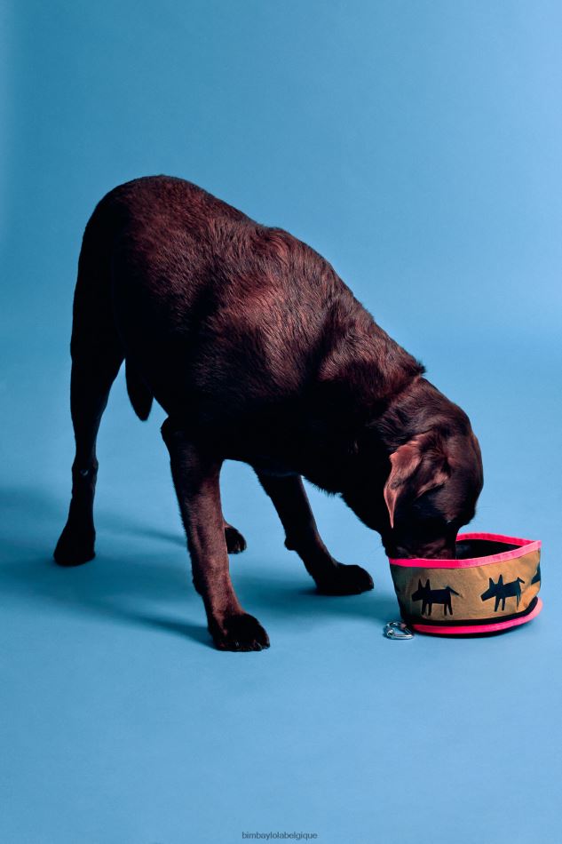 accessoires Bimba Y Lola bol d'eau pour animaux de compagnie logo kaki HV4486969