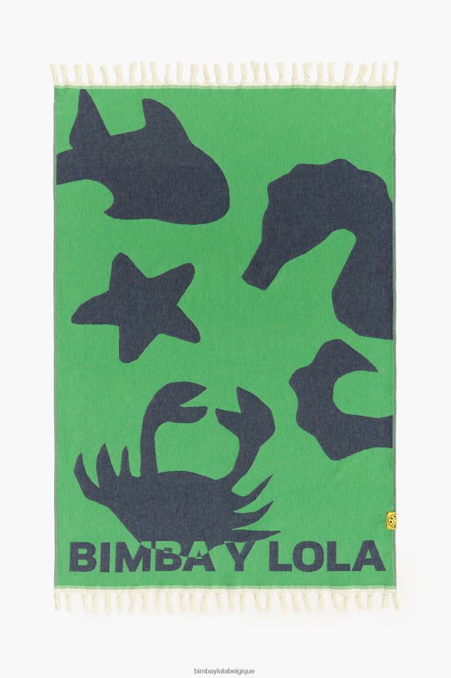 accessoires Bimba Y Lola serviette jacquard vert HV4486891
